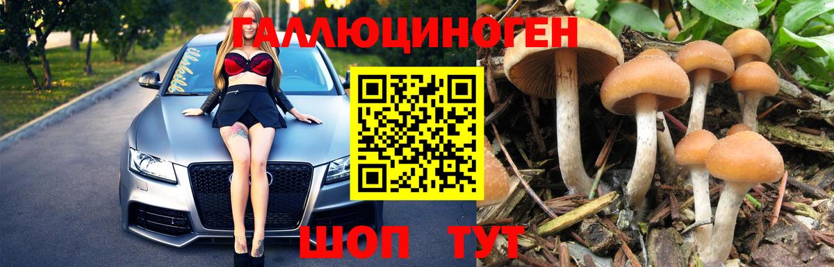 Псилоцибиновые грибы прущие грибы  Псилоцибиновые грибы Psilocybe  Гагарин  где купить наркотик  Вход с VPN 
